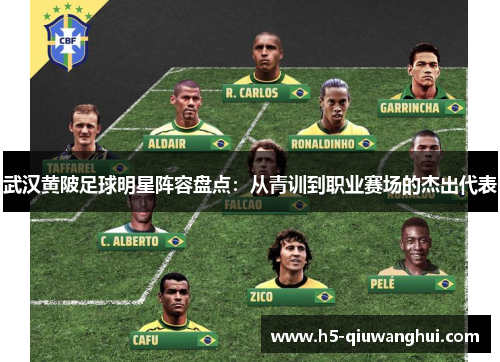 武汉黄陂足球明星阵容盘点:从青训到职业赛场的杰出代表 武汉黄陂足球明星阵容盘点:从青训到职业赛场的杰出代表