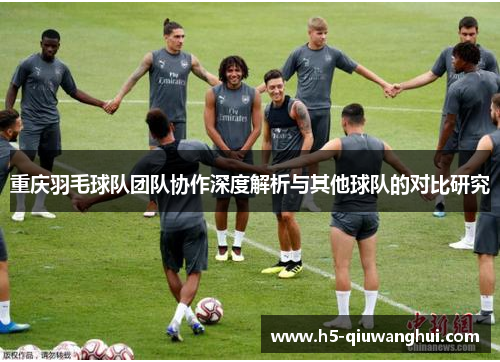 重庆羽毛球队团队协作深度解析与其他球队的对比研究