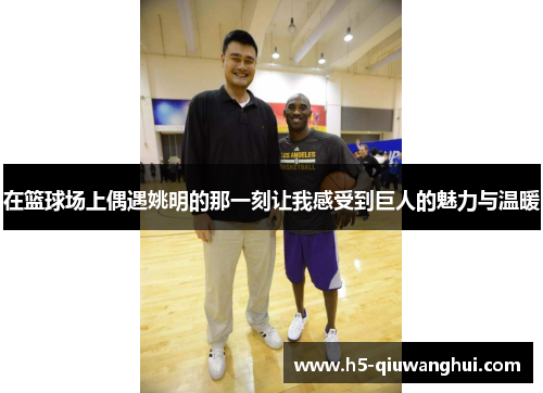 在篮球场上偶遇姚明的那一刻让我感受到巨人的魅力与温暖