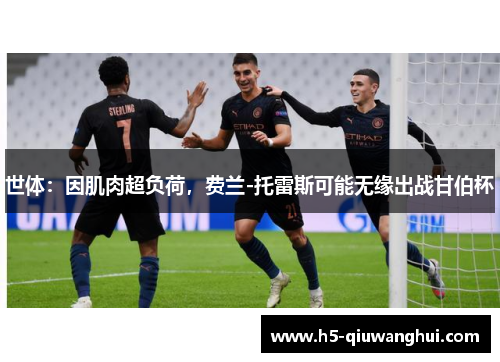 世体：因肌肉超负荷，费兰-托雷斯可能无缘出战甘伯杯