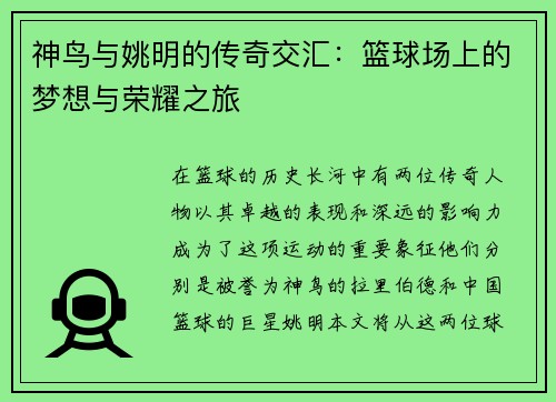 神鸟与姚明的传奇交汇：篮球场上的梦想与荣耀之旅